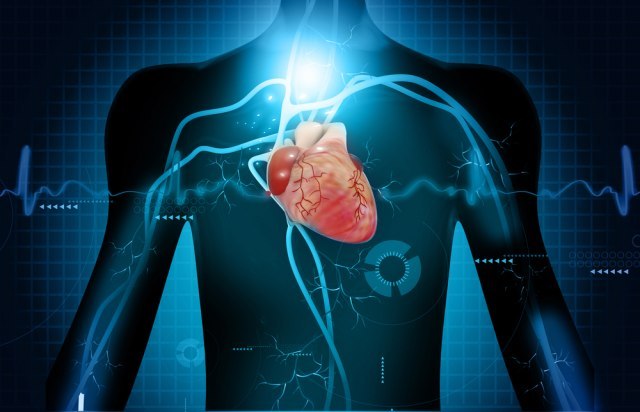 Ljudsko telo ima još jedan organ